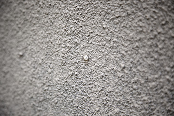 Dry snail wall