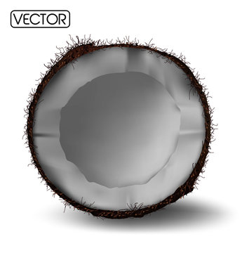 coconut on white background