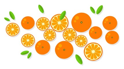 Orange background. Orange tangerine grapefruit lemon lime on a white background. Vector illustration of summer fruits and citrus. Citrus icons and silhouettes. Cute painted oranges. Tropical fruits