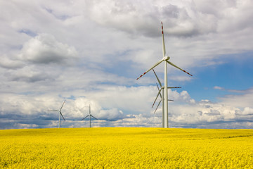 wind farm on rapeseed field