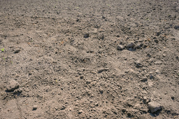 Background of earth soil, black soil on a sunny day.