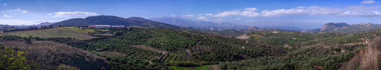 Mountain rural landscape, olive groves of Greece, panorama
