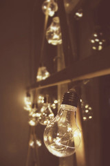 Fototapeta na wymiar Garland of light bulbs. One lamp close up