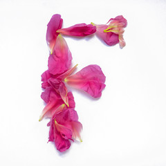 Alphabet made of peony petals. Letter F, layout for design.