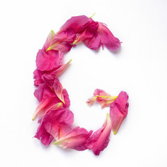 Alphabet made of peony petals. Letter G, layout for design.