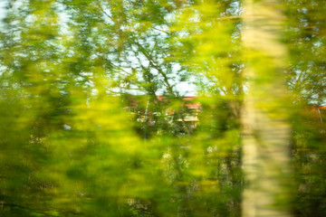 Fototapeta na wymiar Vegetative landscape, green trees. Abstract blurry background. Photo in motion from the window of a moving car