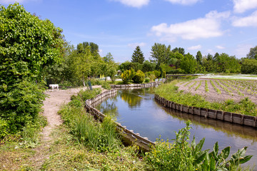 Fototapeta premium Les Hortillonnages d'Amiens, Somme, Hauts de France.