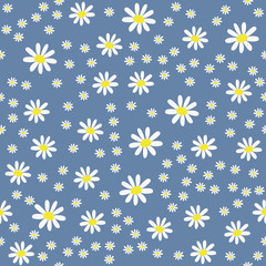 Lots of daisies on blue. Seamless pattern.