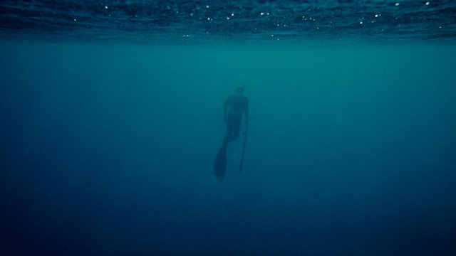 freediver ascending while spearfishing