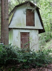 Fototapeta na wymiar Altes verlassenes Haus im Wald