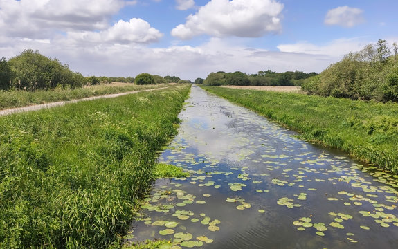 Shapwick Heath National Nature Reserve in Somerset in England