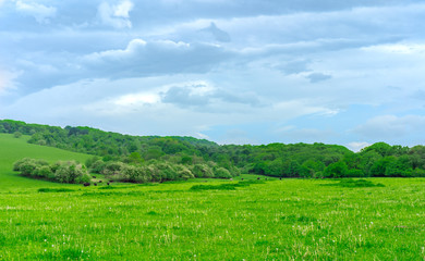 Obraz premium Mountain meadows landscape on a clear day after rain