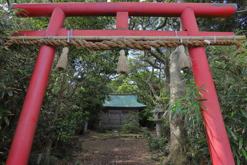 茂みに埋もれた鳥居