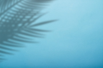 Shadow from palm leaves on a background of blue wall. Blue background, cardboard. Abstract image