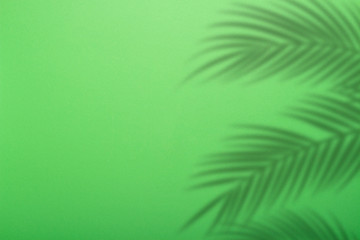 Fototapeta na wymiar Shadow from palm leaves on a background of green wall. Green background, cardboard. Abstract image. Tropic concept