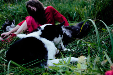 woman in red dress with tree wolfs, forest, husky dogs mystery portrait