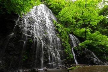 龍双ヶ滝