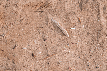Plastic in Sand on Beach Pollution