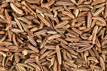 Background of caraway seeds. Top view.