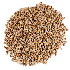 Heap of cannabis seeds isolated on a white background. Top view.