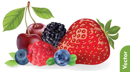 Pile of fresh berries on isolated background. Strawberry, cherry, blackberry, blueberry, bilberry, raspberry. 3d realistic vector illustration of berries mix.