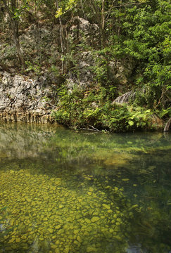 Natural Park El Cubano near Trinidad. Cuba