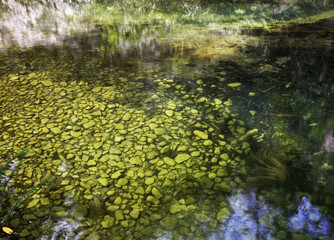 Natural Park El Cubano near Trinidad. Cuba