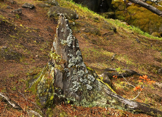 Stolby Nature Sanctuary near Krasnoyarsk. Russia