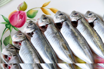 Cleaned and ready to cook fresh fish horse mackerel, istavrit fish