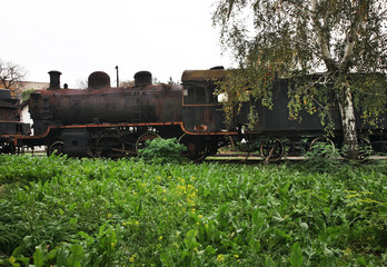 Naklejka premium Abandoned old steam locomotive in Nis. Serbia