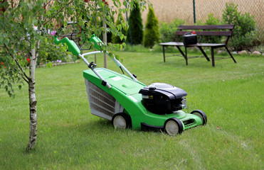 Fototapeta premium lawn mower on the lawn