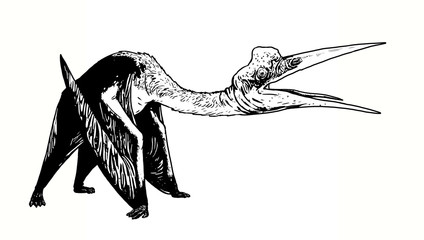 Prehistoric pterosaur - Quetzalcoatlus. Flying reptiles from jurassic period.  © Lunstream