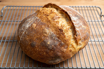 Homemade boule (round loaf) of freshly baked sourdough bread