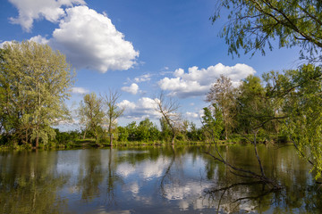 Fototapeta na wymiar Arm of the Morava river near the village Brodske
