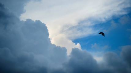 Storm clouds overtook the blue sky before the rain