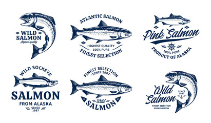 Vector salmon logo and fish illustrations
