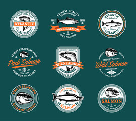 Salmon logo and design elements