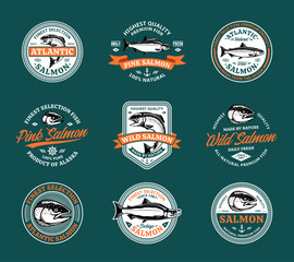 Salmon logo and design elements © Vlad Klok