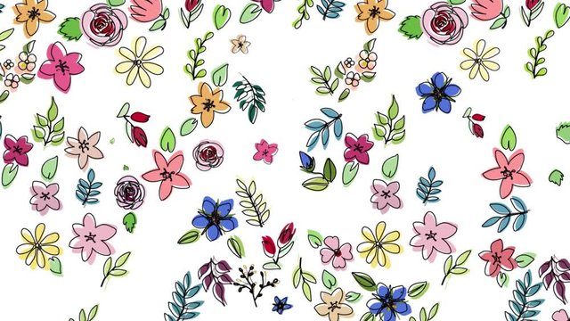 blooming colorful floral pattern unfit outlines animation