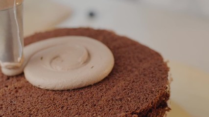 A cake is created, cream is smeared, home cooking.