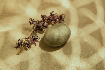 Oval smooth stone in the shape of an egg and a flower of a purple dried plant