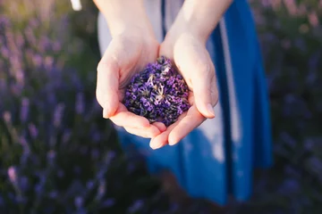 Rolgordijnen hands holding lavender © Tina