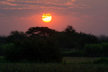 amanecer
