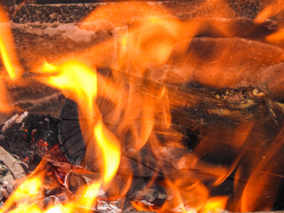Wood Fire Biomass Energy 