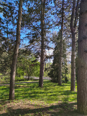 Spring view of South Park in city of Sofia