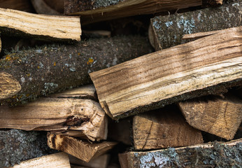 Stacked Firewood Ready For a Cold Winter