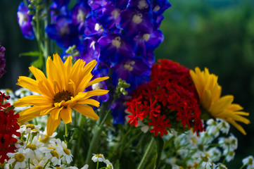 a bouquet of bright spring flowers of various types