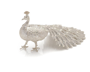 Silver Peacock isolated on white