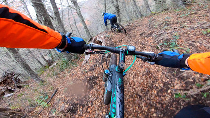 downhill mountain bike in the forest