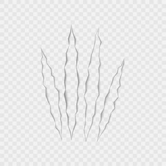 Craft of claws scratches on transparent background. Vector